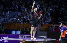 游泳历史资讯nba球星卡淘宝乒乓球采访