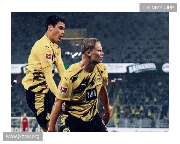 6战造5球领衔新星爆发赛季高光