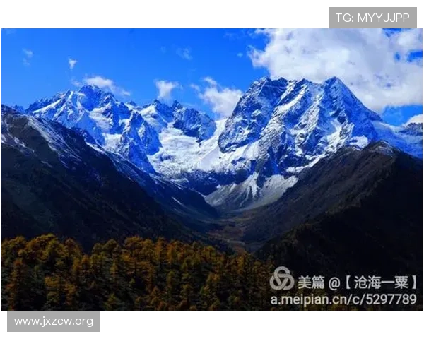 桃花再绽梦圆冰雪之巅荣耀时刻